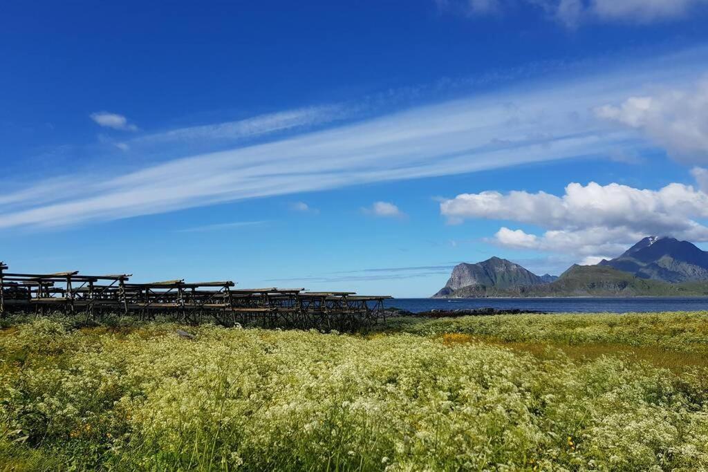 Lofoten- Enjoy The Nature-With A Beautiful Beach Napp Exteriér fotografie
